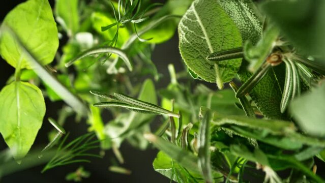 Super Slow Motion of Flying Mix of Fresh Herbs, Isolated on Black Background. Filmed on High Speed Cinema Camera, 1000 fps. Camera Placed on High Speed Cine Bot, Rotating.