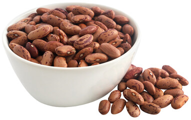 Pinto bean or speckled bean