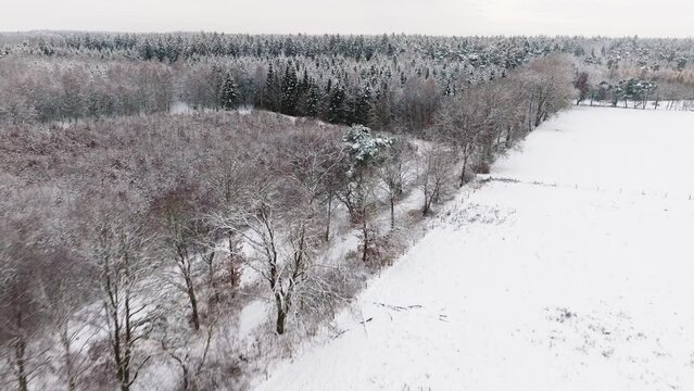 Aerial view of a snowy forest in northern germany