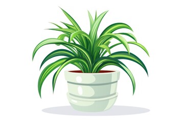 Spider plant icon on white background