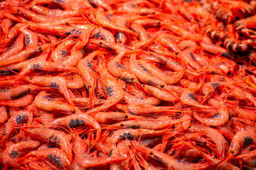 Enjoining diversity of fresh seafood, meat, vegetables and fruits on Atarazanas Central Market in Malaga, Spain