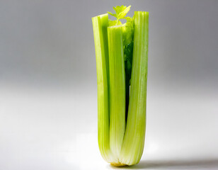 Celery studio shot
