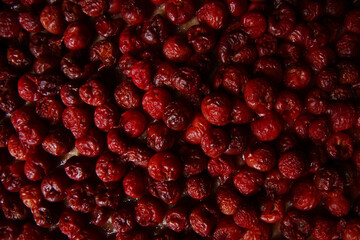 Red homemade pie with cherries.