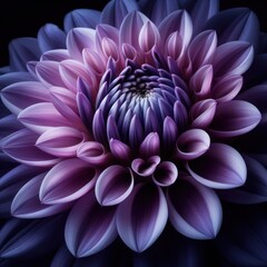 Beautiful abstract composition of indigo dahlia flower that its meaning also varies according to the colors, plants concept, generative ai