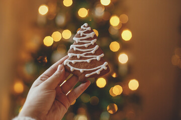 Hand holding christmas tree gingerbread cookie with icing against festive christmas tree with...