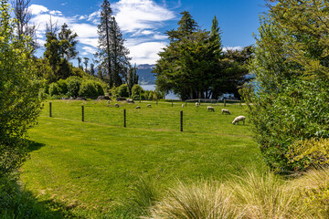 The Gardens at Walter Peak High Country Farm