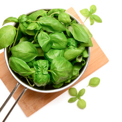 Saucepan with fresh green basil on white background