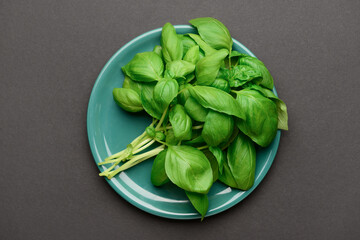 Plate with fresh green basil on black background