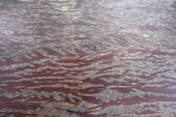 The background is an old wooden floor with patterns from age and decay.