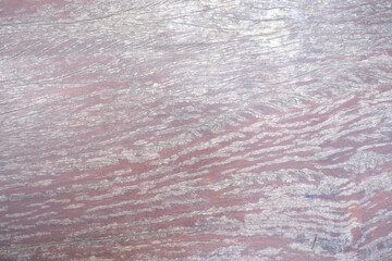 The background is an old wooden floor with patterns from age and decay.