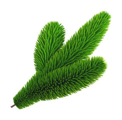 Christmas tree spruce branch. Xmas tree element fir twig isolated on transparent background. 3D render