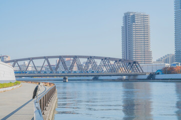 東京　隅田川とアオサギ