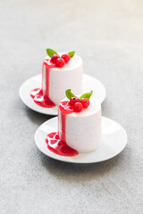 Vegan dessert. Red currant cream pudding Panna Cotta cylindrical shape, with red currant sauce. On a plate. Light gray background. 