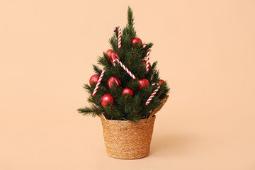 Beautiful Christmas tree in pot on beige background