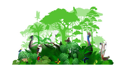 Vector Australia tropical jungle rainforest illustration with animals.	