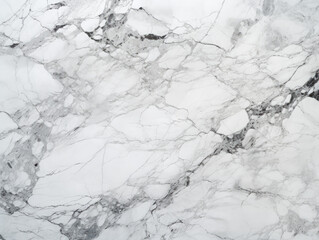 Detailed White Carrara Marble Texture