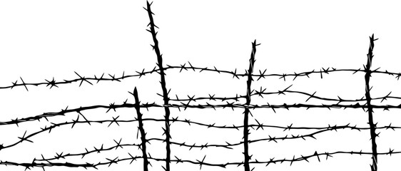 Barbed wire drawing silhouette - obrazy, fototapety, plakaty