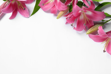 Beautiful pink lily flowers on white background, flat lay. Space for text