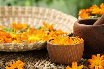 Many beautiful fresh calendula flowers on table
