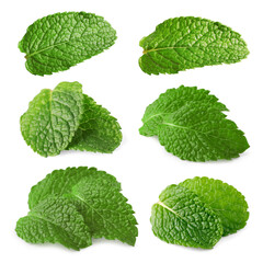 Fresh mint leaves isolated on white, set