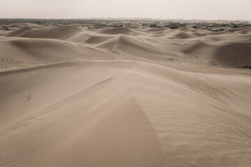 Desert sand, beautiful sand desert landscape at sunset, Inner Mongolia, China