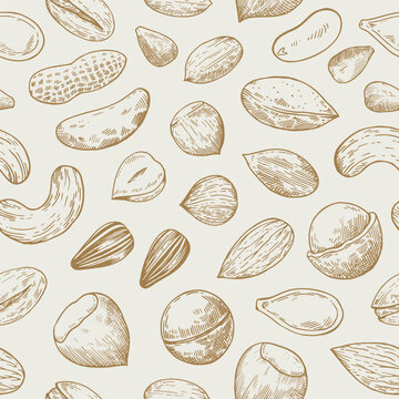 Seamless pattern with nuts and seeds. Sketch drawing in engraving style. Vector illustration