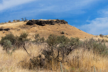 2023 08 13 Hat Rock State Park - OR 010