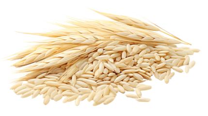 Barley rice on the transparent background