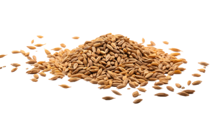 Malt on the transparent background