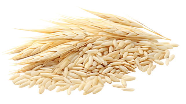 Barley rice on the transparent background - Powered by Adobe