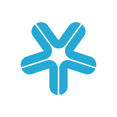 Obraz premium star logo 