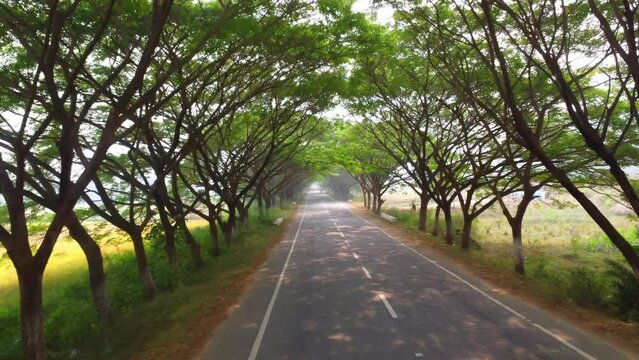 cinematic aerial drone view of National highway passing through dense jungle HD