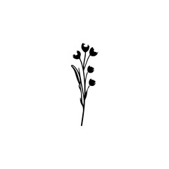 decoration plant black and white illustration
