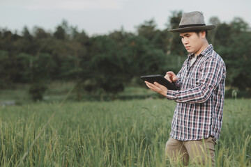 Naklejka na ściany i meble A man farmer examines the field of cereals and sends data to the cloud from the tablet, Smart farming and digital agriculture, young farmer works with a laptop in a wheat field.