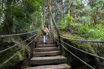 Woman go hiking and walk along the trail