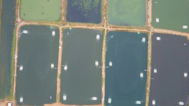 Aerial drone view of commercial fish farming industry in India HD