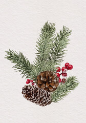 Watercolor christmas illustration with cones 