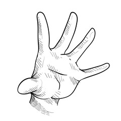 human hand gesture handdrawn illustration