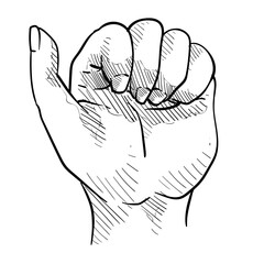 human hand gesture handdrawn illustration