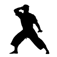 Silhouette of a man in oriental martial art pose. Silhouette of a male in martial art move.