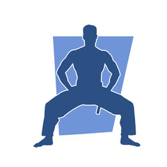 Silhouette of a man in oriental martial art pose. Silhouette of a male in martial art move.