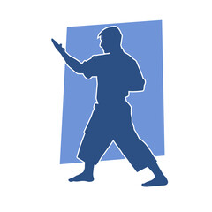 Silhouette of a man in oriental martial art pose. Silhouette of a male in martial art move.