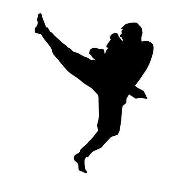 Silhouette of a male model doing martial art kick pose. Silhouette of a martial art kicking pose.

