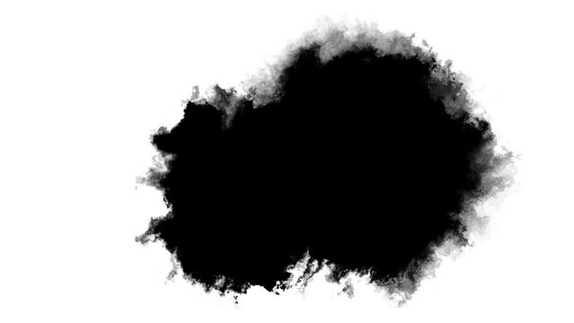 Black ink splash. Paint drop Wet spatter. Blur dark fluid spill spreading wave flow motion on white transition background. Ink spreading. Grunge splash. Gradient watercolor transition.