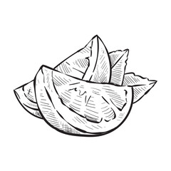 orange fruit handdrawn illustration