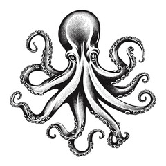 Octopus engraved style drawing vector