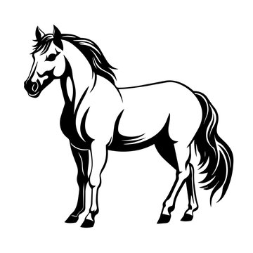 White Horse Logo Monochrome Design Style