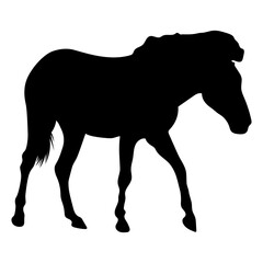 Horse Silhouette