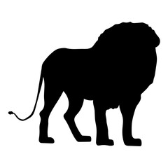 Lion Silhouette