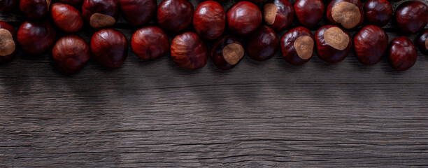 Chestnut on Wooden Rustic Surface. Template for Wallpaper or Background.